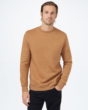 Brown Men's Eco-Friendly Pullover